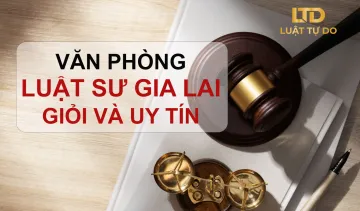 Văn phòng Luật sư Gia Lai Giỏi và Uy tín